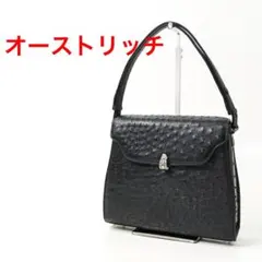 美品✨日本製 HASEGAWA オーストリッチ ハンドバッグ がま口付き冠婚 