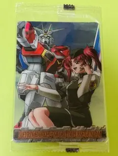 Item thumbnail for item 60d5b3ef-7d50-44f1-b5c4-457a4f7da399