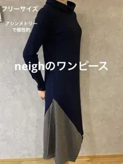 お得　1点物　オシャレ　neighのワンピース　F ネイビー　個性的　おまけ付き