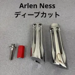 送料無料】アレンネスフロントフェンダー フレイムペイント - メルカリ