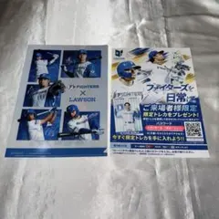 日本ハムファイターズ ローソン クリアファイルのサムネイル