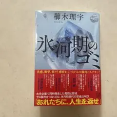 氷河期のゴミ
