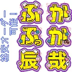 きてぃー様 リクエスト 2点 まとめ商品