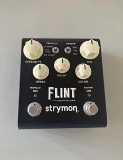 Strymon Flint V2のサムネイル