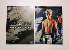 RIZIN クリアファイルコレクション 伊澤星花 - メルカリ