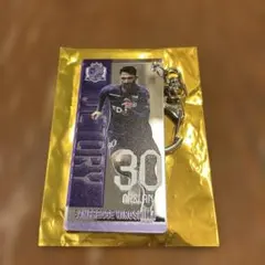 サンフレッチェ広島　トルガイアルスラン　ミラープレイヤーズアクリルキーホルダー
