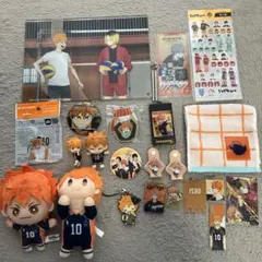 日向翔陽 グッズ