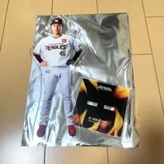 ☆新品未着用☆ 藤平尚真選手直筆サイン Tシャツ 値下げ対応可 2024年侍ジャパンネームナンバーTシャツ 46藤平尚真 - 侍