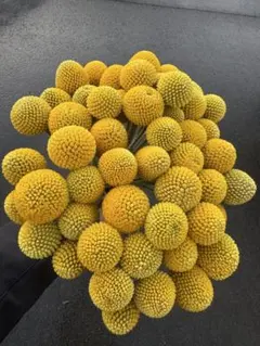 ぷう様 リクエスト 2点 まとめ商品