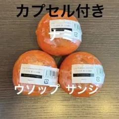 ワンピの実　第二十五海戦　サンジ ナミ ウソップ