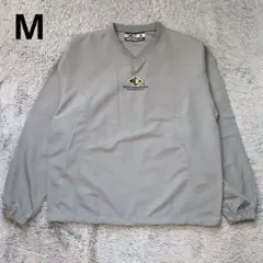 Item thumbnail for item 3536386f-1c8d-49a3-9efc-358da2d4223a