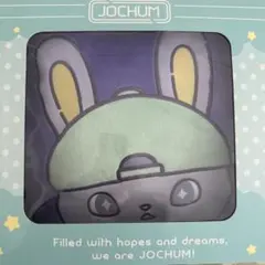 JOCHUM ちまた　クッション