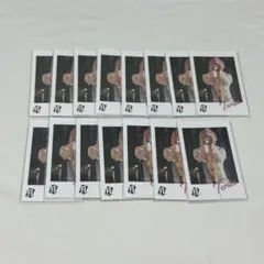 てるとくん フォトカ