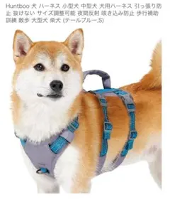 Huntboo 犬用ハーネス Sサイズ グレー・青