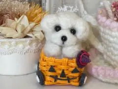 羊毛フェルト　リピ様1500円