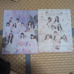 Item thumbnail for item dec50982-77ce-4188-80bd-4793e431093d