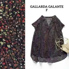 ✨美品ガリャルダガランテ シアースキッパー半袖ブラウス ボタニカル Fブラックのサムネイル