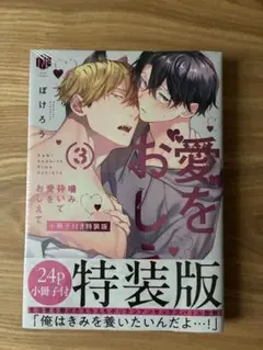 噛み砕いて愛をおしえて (3) 24P小冊子付き特装版