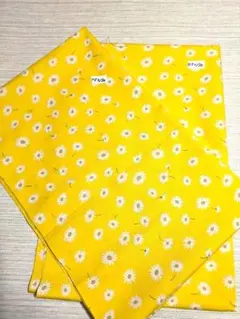 Item thumbnail for item e5491a40-dca2-4be7-964e-a2ff4a39ca0e