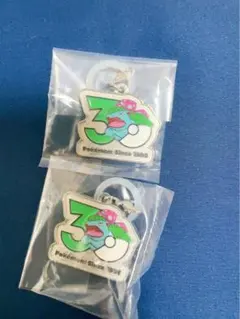 ポケモン30周年メタルチャームマスコット　カメックス　2点セット