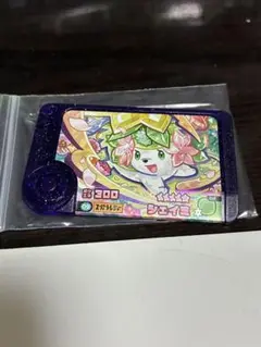 シェイミ ポケモンフレンダ