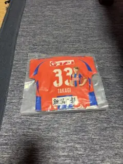 アルビレックス新潟　高木善朗　マッチデークッション