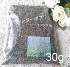 Item thumbnail for item 39a256c0-0beb-45b7-bc58-029843325001