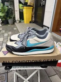 値下げしました！Nike Air Wildwood ACG 30cmのサムネイル