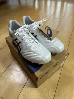 asics(アシックス) DS LIGHT PRO サッカースパイク