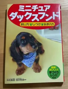 Item thumbnail for item 34ff4053-ebd5-43ac-a059-c60849c6fde2