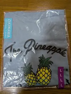 Item thumbnail for item 9738617b-a4cc-46c2-b397-3a2cc3b85faa