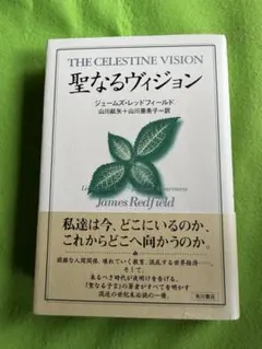 聖なるヴィジョン ジェームズ・レッドフィールド