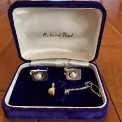 Item thumbnail for item 3d7b44b6-6015-4215-82f3-e56fabbe2a1c