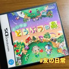おいでよ どうぶつの森 DS