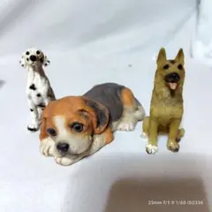 1/64 1/43 1/24 1/18 柴犬 犬 フィギュア4体 ミニチュア - メルカリ