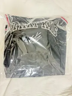 straykids スキズ dominate エコパ アプグレグッズ