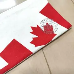 Item thumbnail for item 823e4fec-9abc-45d9-ba6f-ae6fd229ae18