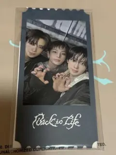 Backtolife　&TEAM　トレカ　グローバル　global