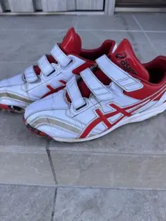 Item thumbnail for item 4508c72d-3edd-49b3-9984-51669978a39a