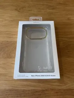 11/18で処分　salisty iPhone 17Pro ケース