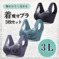 ナイトブラ 3L シームレスブラ ノンワイヤー 大きいサイズ 美胸 着痩せ 3枚