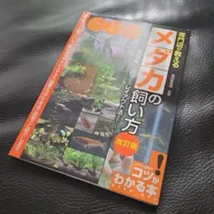 専門店が教える メダカの飼い方 失敗しない繁殖術から魅せるレイアウト法まで