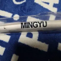 ミンギュ タペストリー CARAT文化祭 NEW わなげ 輪投げ