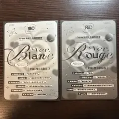 新品未読　from red 5周年　リーフレット　Rouge Blanc
