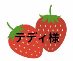 テディ様 リクエスト 2点 まとめ商品
