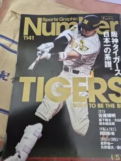 阪神タイガース2006年カレンダー 赤星憲広 阪神タイガース 2006年カレンダー 新品、未使用 - メルカリ