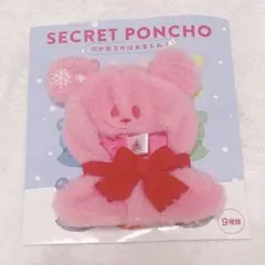 ディズニーストア シークレットポンチョ 赤