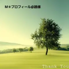 M＊プロフィール必読様