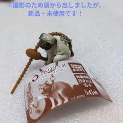 ふんばりーぬ どこでもふんばり〜ぬ パグ