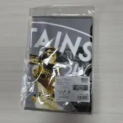 栗原陵矢　柳田悠岐　キャプテン　タオル